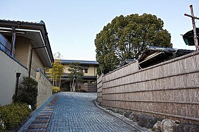 《幻兽帕鲁》PvP模式“帕鲁竞技场”首爆预告 今年上线